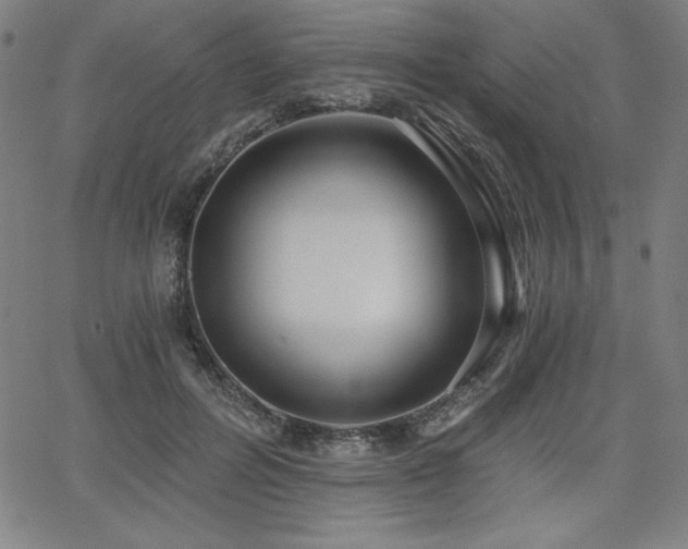 X0000068260600200604211046