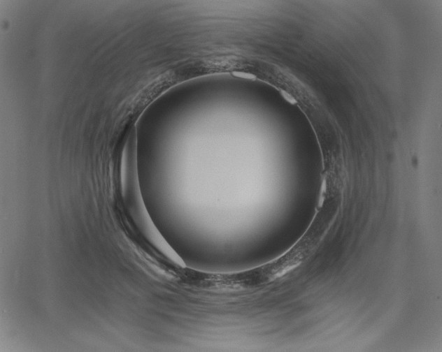 X0000068260601200604211046