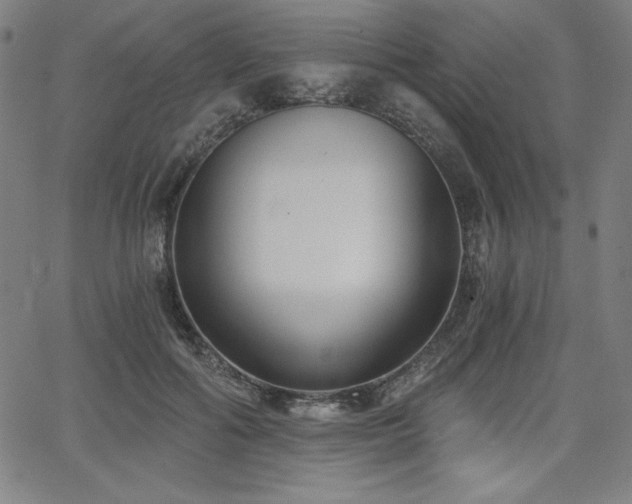 X0000068260602200604211046