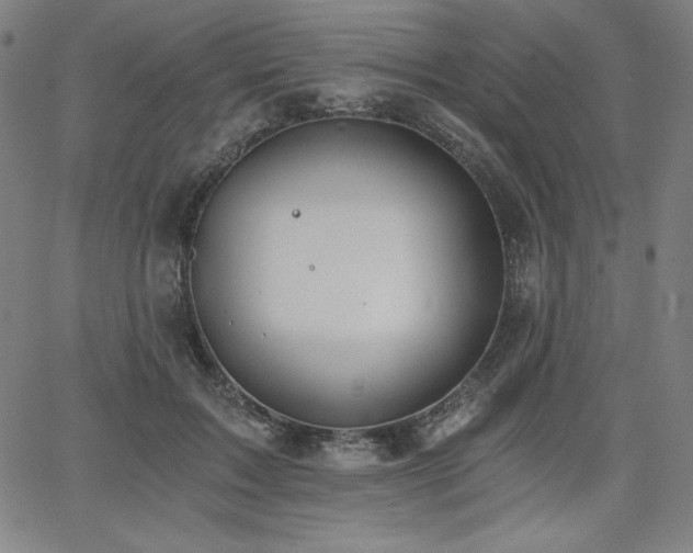 X0000068260603200604211046