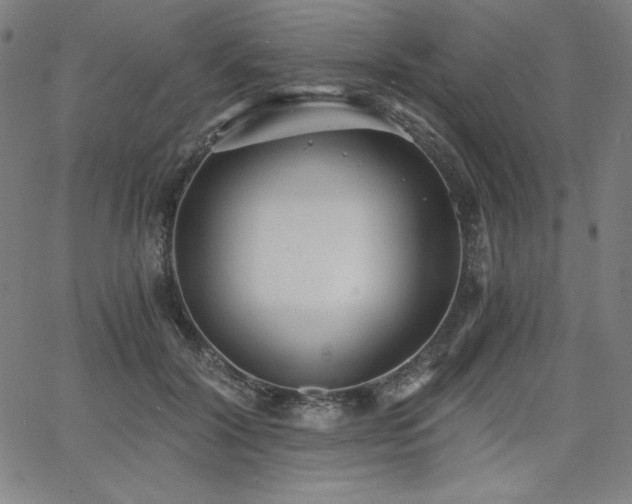 X0000068260604200604211046