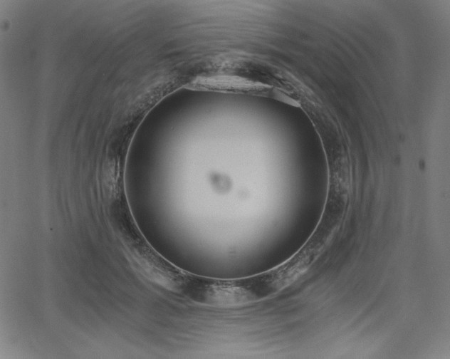 X0000068260605200604211046