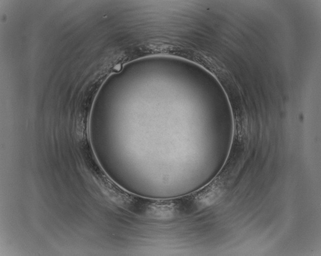 X0000068260606200604211046