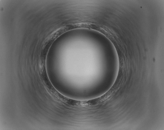 X0000068260607200604211046