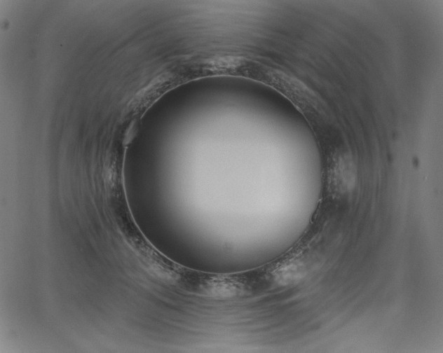 X0000068260608200604211046