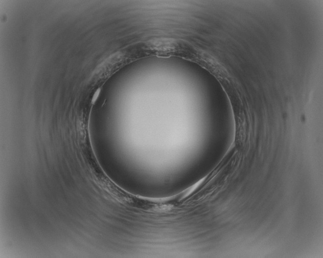 X0000068260609200604211046