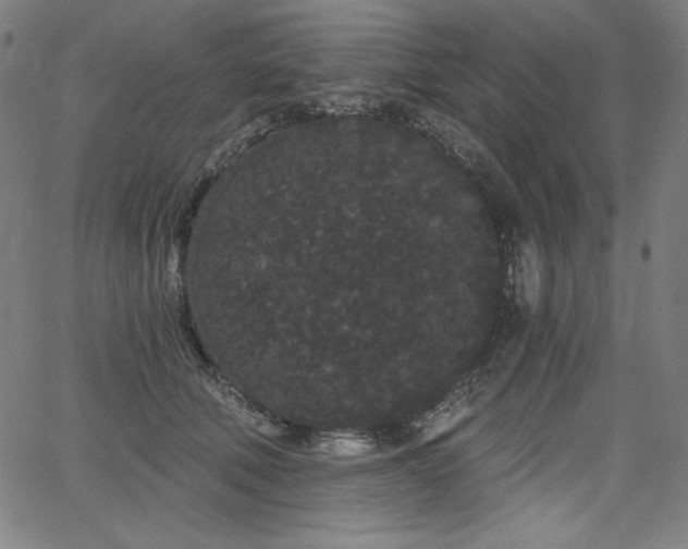 X0000068260610200604211046