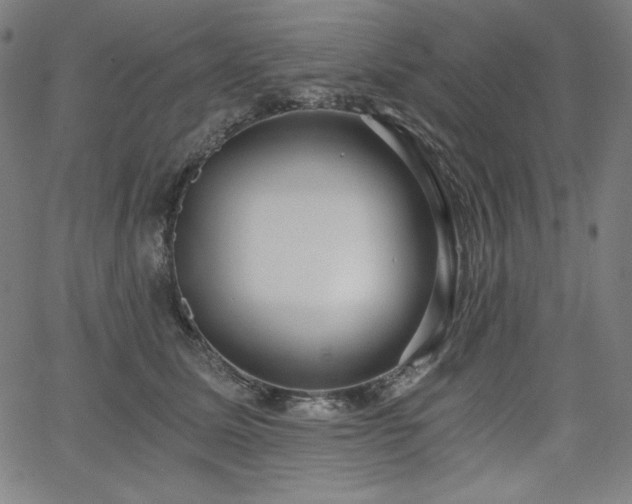 X0000068260611200604211046