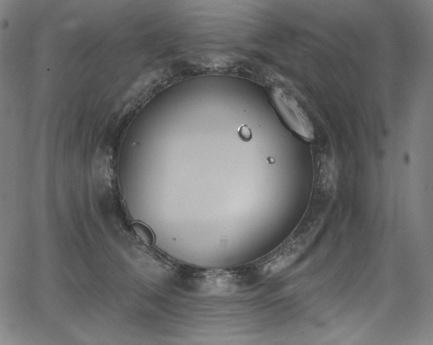 X0000068260612200604211046