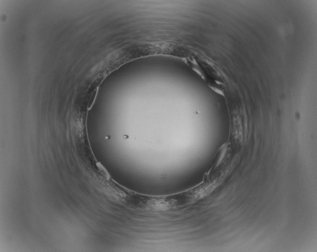 X0000068260613200604211046