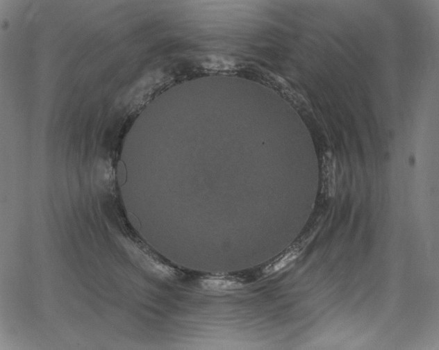 X0000068260614200604211046