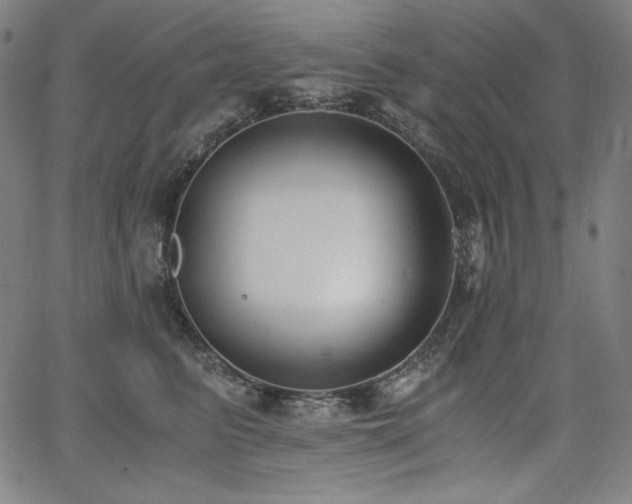 X0000068260615200604211046