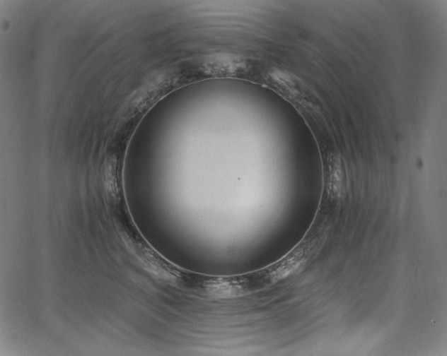 X0000068260616200604211046