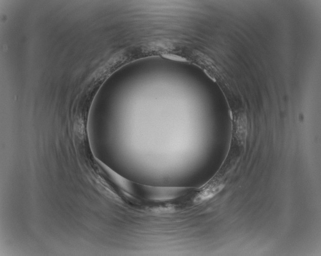 X0000068260617200604211046