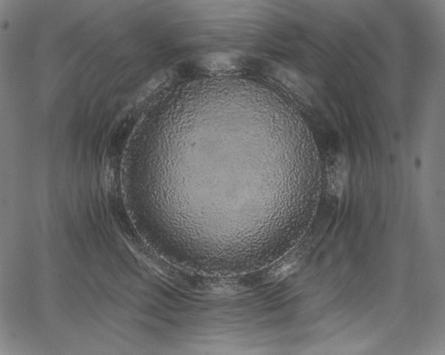 X0000068260618200604211046