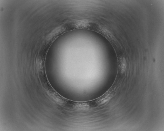 X0000068260619200604211046