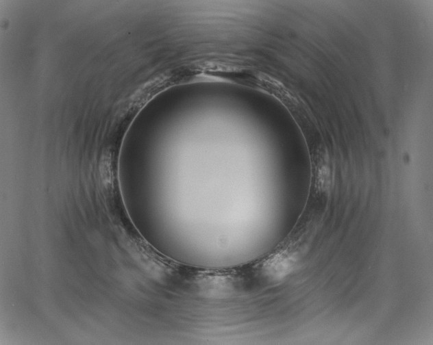 X0000068260620200604211046