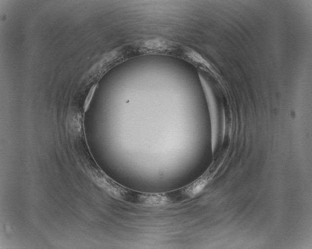 X0000068260621200604211046