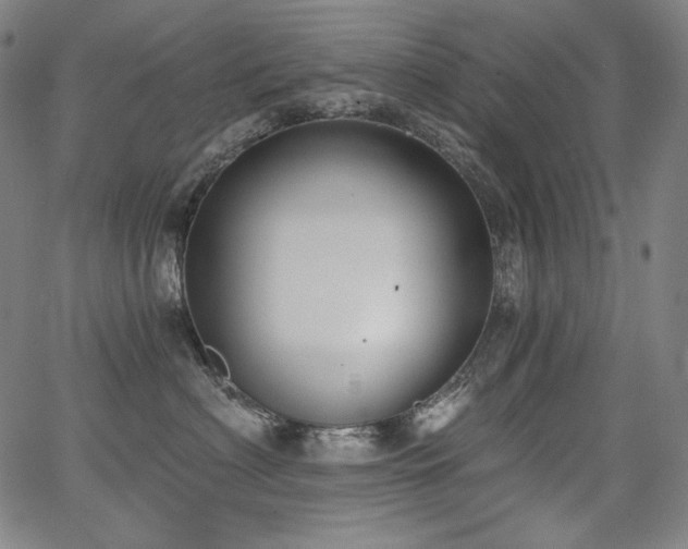 X0000068260622200604211046