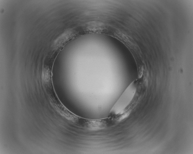 X0000068260623200604211046