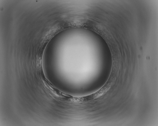 X0000068260624200604211046