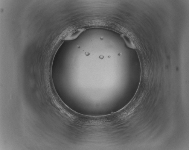 X0000068260625200604211045