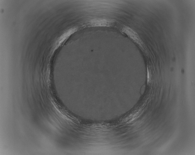 X0000068260627200604211045