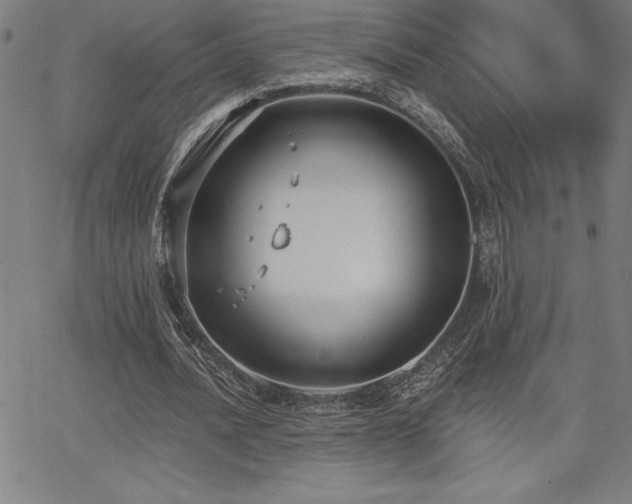 X0000068260628200604211045