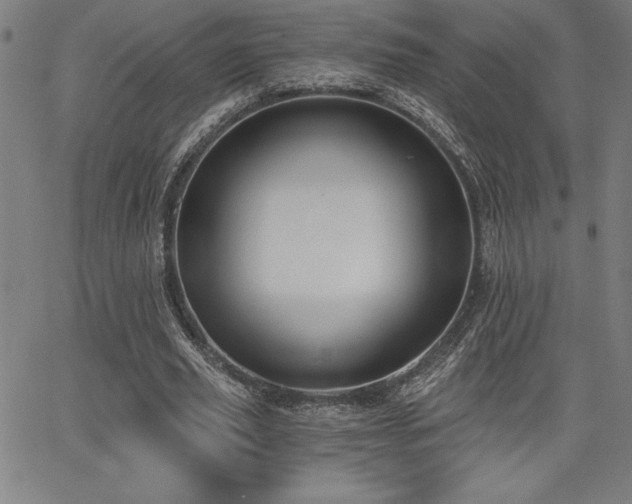 X0000068260629200604211045