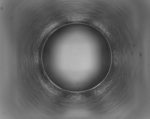 X0000068260631200604211045