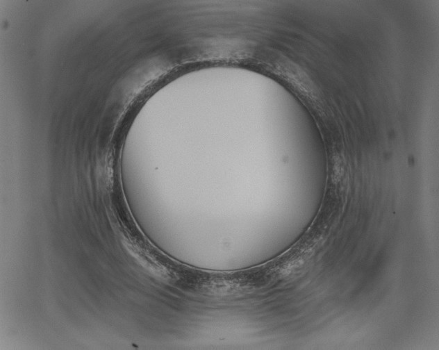 X0000068260632200604211045