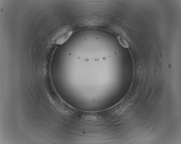 X0000068260635200604211045