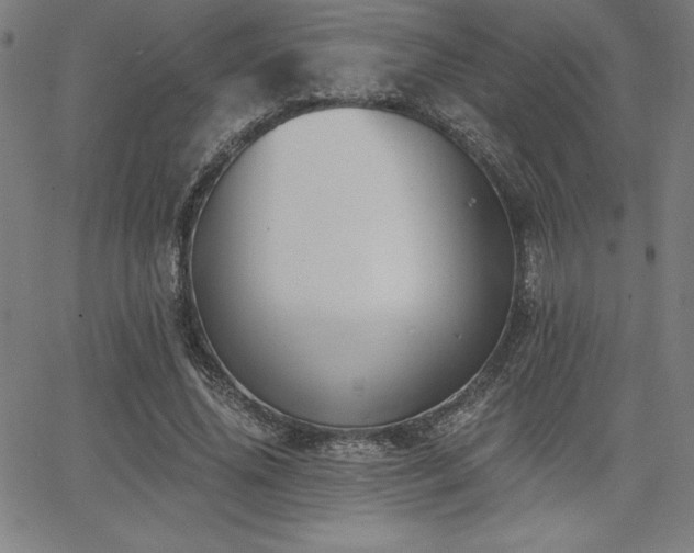 X0000068260636200604211045