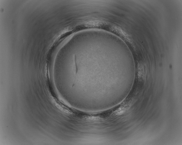 X0000068260637200604211045