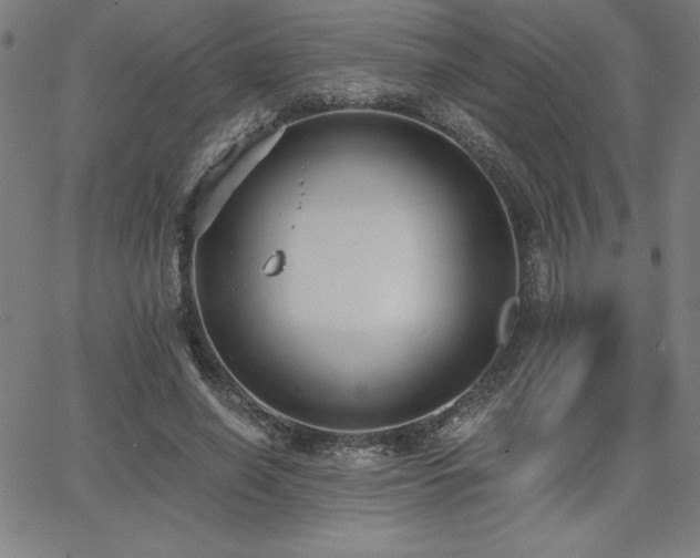 X0000068260638200604211045