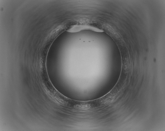 X0000068260639200604211045