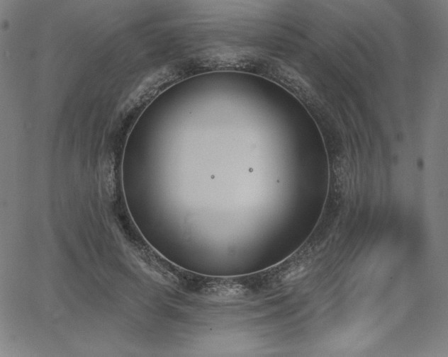 X0000068260642200604211045