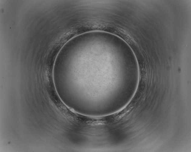 X0000068260643200604211045