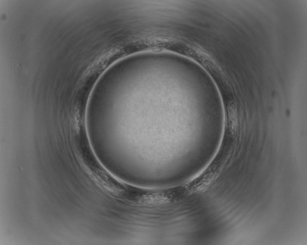 X0000068260644200604211045