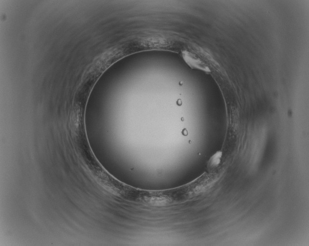 X0000068260645200604211046