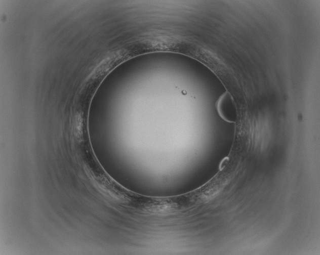 X0000068260646200604211046