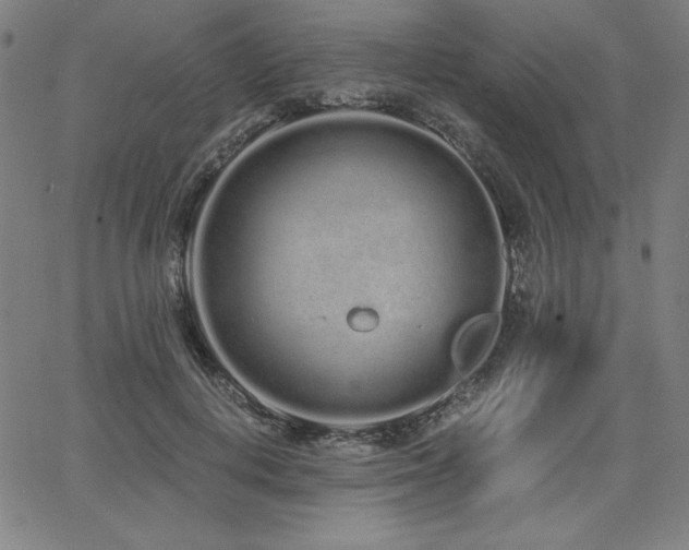 X0000068260648200604211046