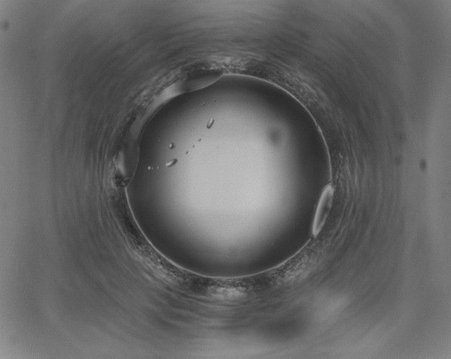 X0000068260649200604211046