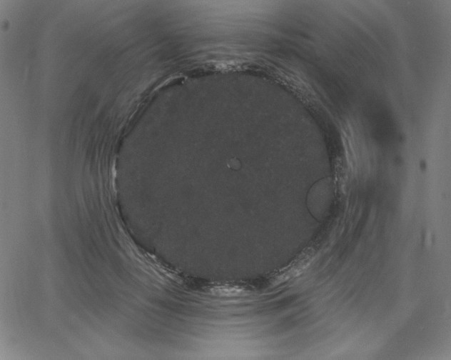 X0000068260650200604211046