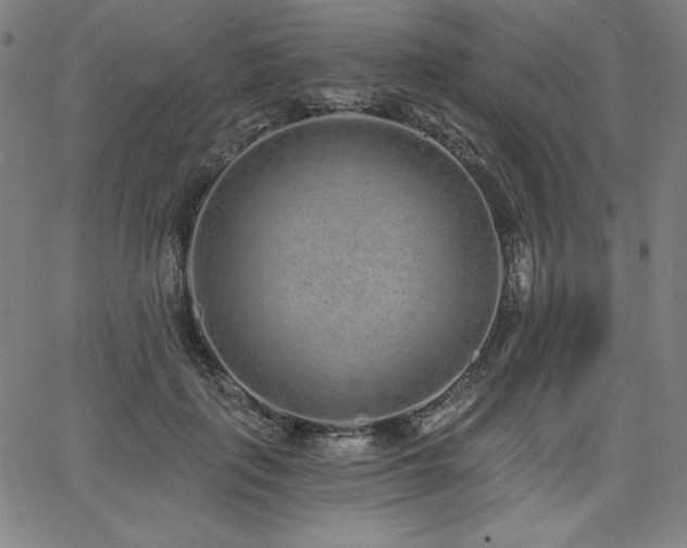 X0000068260651200604211046