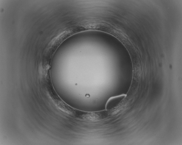 X0000068260652200604211046