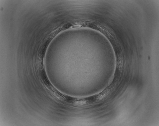 X0000068260653200604211046