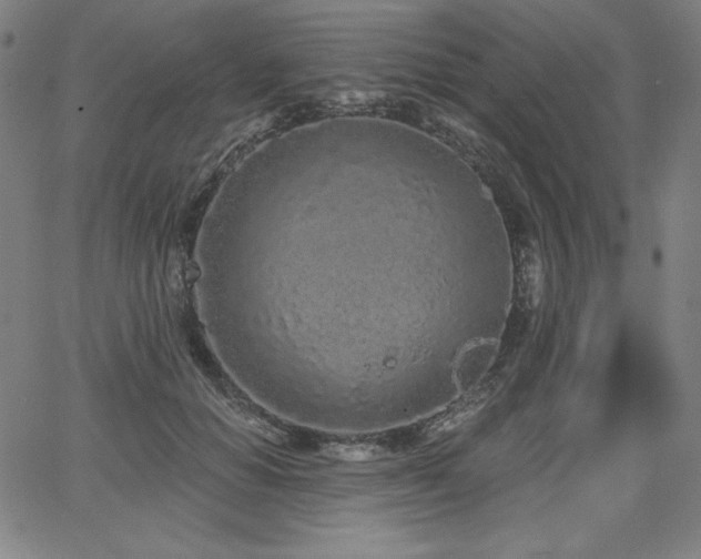 X0000068260654200604211046