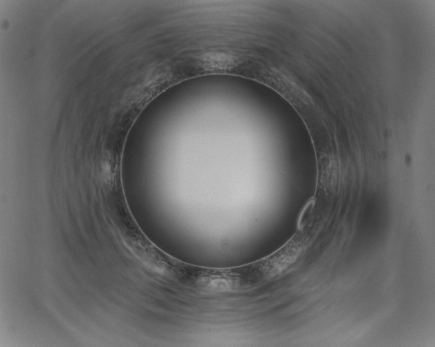 X0000068260655200604211046