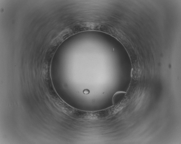 X0000068260656200604211046